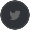 twitter link
